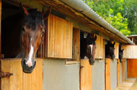 free Llangadfan stable construction quotes